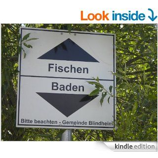 Der frnkische Ninja (German Edition) eBook: Frank Stssel: Kindle Store
