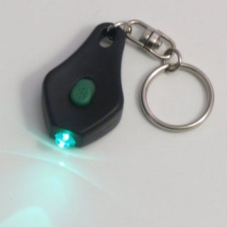 LED Keychain Flashlight   Teardrop Slide/Squeeze Dual Switch   Teal LED: Everything Else