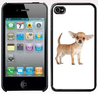 Apple iPhone 5 5S Black 5B120 Hard Back Case Cover Color Cute Light Brown Chihuahua Puppy Dog: Cell Phones & Accessories