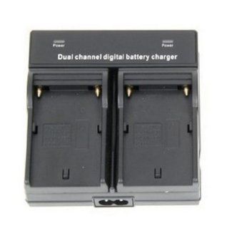 Dual Channel Digital Battery Charger for Sony NP F330, NP F530, NP F550, NP F570, NP F730, NP F730H, NP F750, NP F770, NP F930, NP F950, NP F960, NP F970, 2NP F970/B, NP F970/B InfoLithium L Series Battery : Camcorder Battery Chargers : Camera & Photo