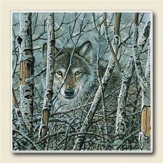 Absorbent Stone Coaster Box Set of 4 Wolf Face with Birch Trees: Kitchen & Dining