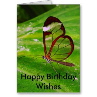 clearwing, Happy Birthday Wishes Greeting Card