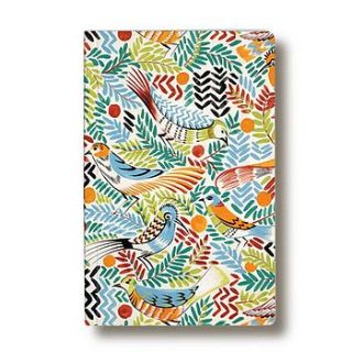 tropical birds notebook by collier campbell