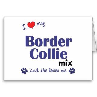 I Love My Border Collie Mix (Female Dog) Cards