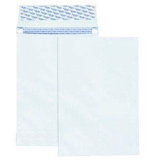Columbian CO831 9x12 Inch DuraShield Security Tinted White Envelopes, 100 Count : Catalog Envelopes : Office Products