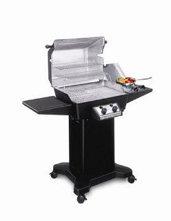 Ducane 2005 16002201 864 Square Inch 2 Burner Propane Gas Grill with Side Burner and Black Base (Discontinued by Manufacturer) : Patio, Lawn & Garden