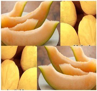 1 oz (750+ seeds) Crenshaw Cantaloupe Melon Seeds Cucumis melo var. inodorus ~ Gourmet Type MOUTH WATERING : Tomato Plants : Patio, Lawn & Garden