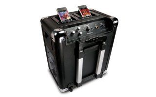 ION Audio Mobile DJ Speaker System for iPod: Musical Instruments