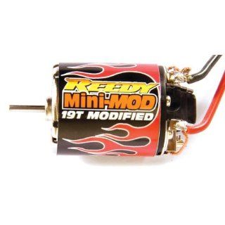 Team Associated Reedy Mini Mod 19T Modified Motor: Toys & Games