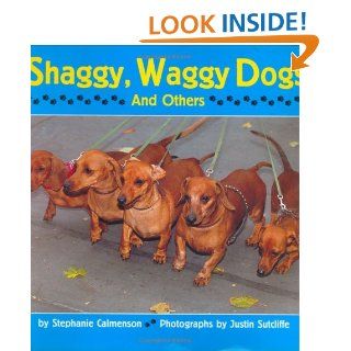 Shaggy, Waggy Dogs (And Others): Stephanie Calmenson, Justin Sutcliffe: 0046442776059:  Children's Books