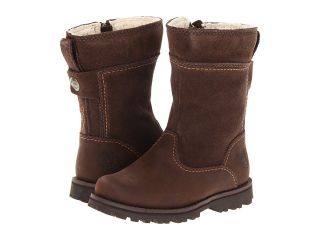 Timberland Kids Earthkeepers Asphalt Trail Forestdale Waterproof Tall Boot Girls Shoes (Brown)