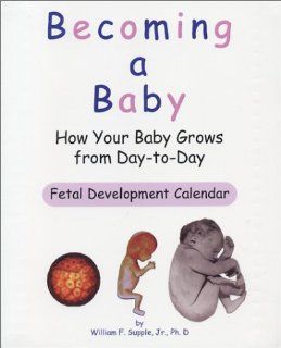 Becoming a Baby: How Your Baby Grows from Day to Day: William F. Supple Jr.: 9780965391146: Books