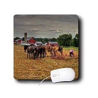mp_100234_1 Roni Chastain Photography   Work horses plowing the fields, on a farm, farmer working besides horses   Mouse Pads : Office Products