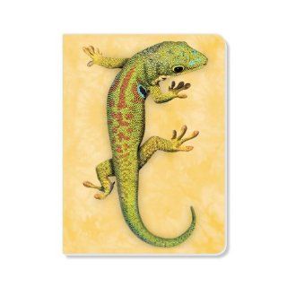 ECOeverywhere Gecko Journal, 160 Pages, 7.625 x 5.625 Inches, Multicolored (jr70018) : Hardcover Executive Notebooks : Office Products