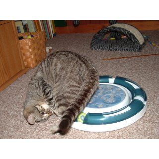 Catit Design Senses Play Circuit, Original : Pet Mice And Animal Toys : Pet Supplies