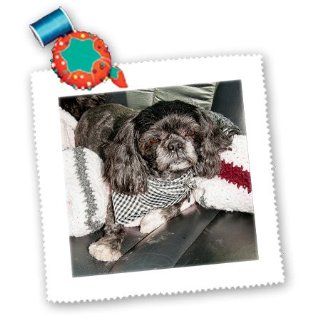 qs_54779_3 Jos Fauxtographee Realistic   An Adorable House Pet Shiatsu Dog in The Back Seat of Car After Having Been Groomed in a Scarf   Quilt Squares   8x8 inch quilt square: