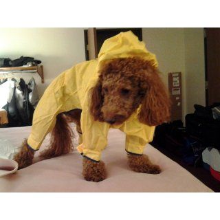 Petego Dogrich Rainforest Dog Raincoat with Detachable Fleece Undercoat, Yellow, 12 Inches : Pet Raincoats : Pet Supplies