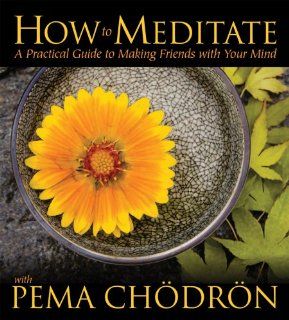 How to Meditate with Pema Chodron A Practical Guide to Making Friends with Your Mind (9781591797944) Pema Chdrn Books