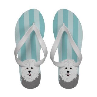 Old English Sheep Dog with Eyes Showing Flip Flops