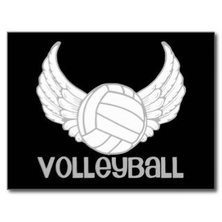 Volleyball with Wings Post Card