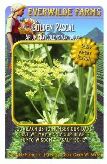 Everwilde Farms   1 Oz Golden Pascal Celery Seeds   Bulk Seed Packet : Vegetable Plants : Patio, Lawn & Garden