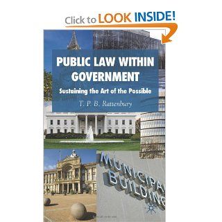 Public Law within Government Sustaining the Art of the Possible T. P. B. Rattenbury 9780230553026 Books