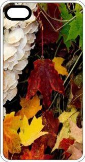 Fall Leaves In Kentucky Clear Plastic Case for Apple iPhone 4 or iPhone 4s: Cell Phones & Accessories