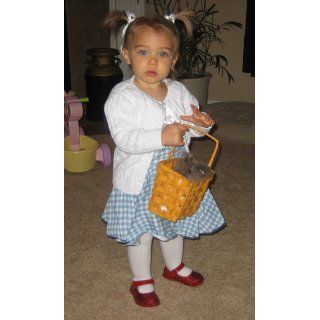 Infant 24 Months Fancy Infant Dorothy Costume Dress: Clothing