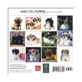 Shih Tzu Puppies 2012 7X7 Mini Wall Calendar: BrownTrout Publishers Inc: 9781421678795: Books