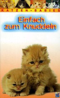 Einfach zum Knuddeln   Katzen Babys [VHS]: Frank Micellota, Ron Chambers: VHS