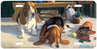 5353 "We re So Sorry" Basset Hound Dog License Plate Car Auto Novelty Front Tag by Randy McGovern from Airstrike: Automotive