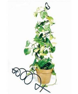 Achla Designs Spiral 3.5 ft. Iron Plant Trellis   Trellises