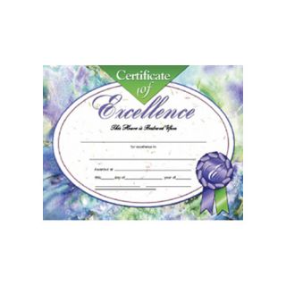 Excellence Certificate