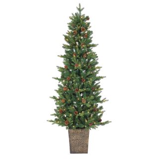 6 ft. Potted Georgia Pine Natural Cut Pre Lit Full Christmas Tree by Sterling Tree Company