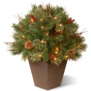 24 in. Glistening Pine Pre Lit Porch Bush   Clear Lights   Christmas Trees