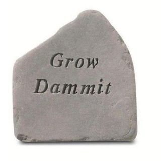 Grow Dammit Accent Rock