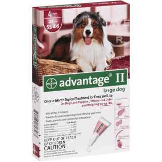 Flea Control for Dogs and Puppies in Red