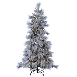 Lightly Flocked Snowbell Pine Pre Lit Full Christmas Tree   Christmas Trees