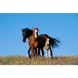 National Geographic 48 in. x 72 in. Horse Family Wall Mural NG94616