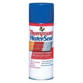 Thompson's WaterSeal 12 oz. Clear Multi Surface Waterproofer TH.010100 18