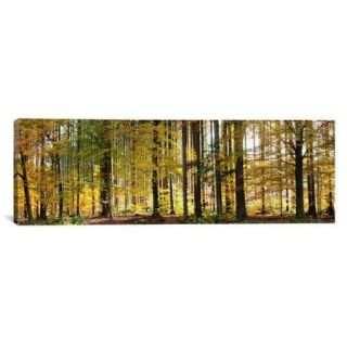 iCanvas Panoramic Trees Photographic Print on Canvas