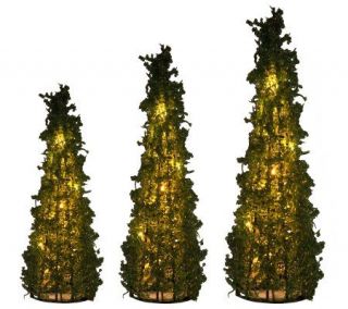 Set of 3 Prelit Green Cone Shaped Beaded Trees   H06563 —