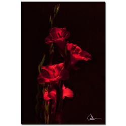 Ready2hangart Alexis Bueno Painted Petals II 4 piece Canvas Wall Art