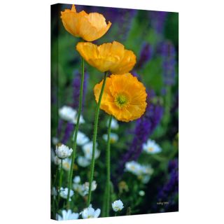 Kathy Yates Poppies and the Fence Gallery Wrapped Canvas