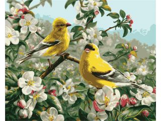 Paint By Number Kit 16"X20" Goldfinches