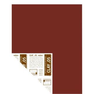 YOLO Colorhouse 12 in. x 16 in. Clay .05 Pre Painted Big Chip Sample 221253