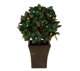 BethlehemLights BatteryOperated 25 Single Ball Holly Topiary with Timer —
