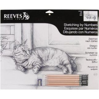 Sketching By Number Kit, 12" x 16", Cat