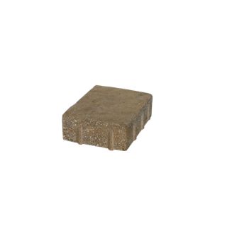 Sur Country Manor Concrete Paver (Common 6 in x 9 in; Actual 6 in x 9 in)