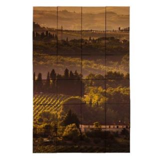 Tile My Style Vineyard1 24 in. x 36 in. Tumbled Marble Tiles (6 sq. ft. /case) TMS0001M4